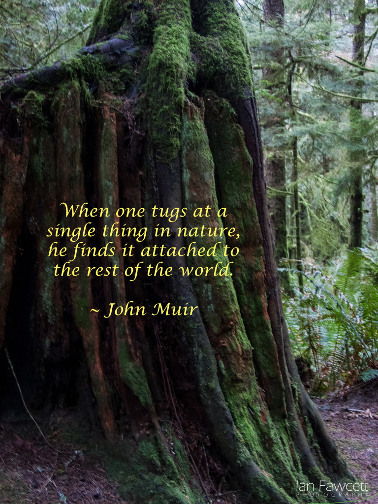 East Sooke Park - Quotation 4